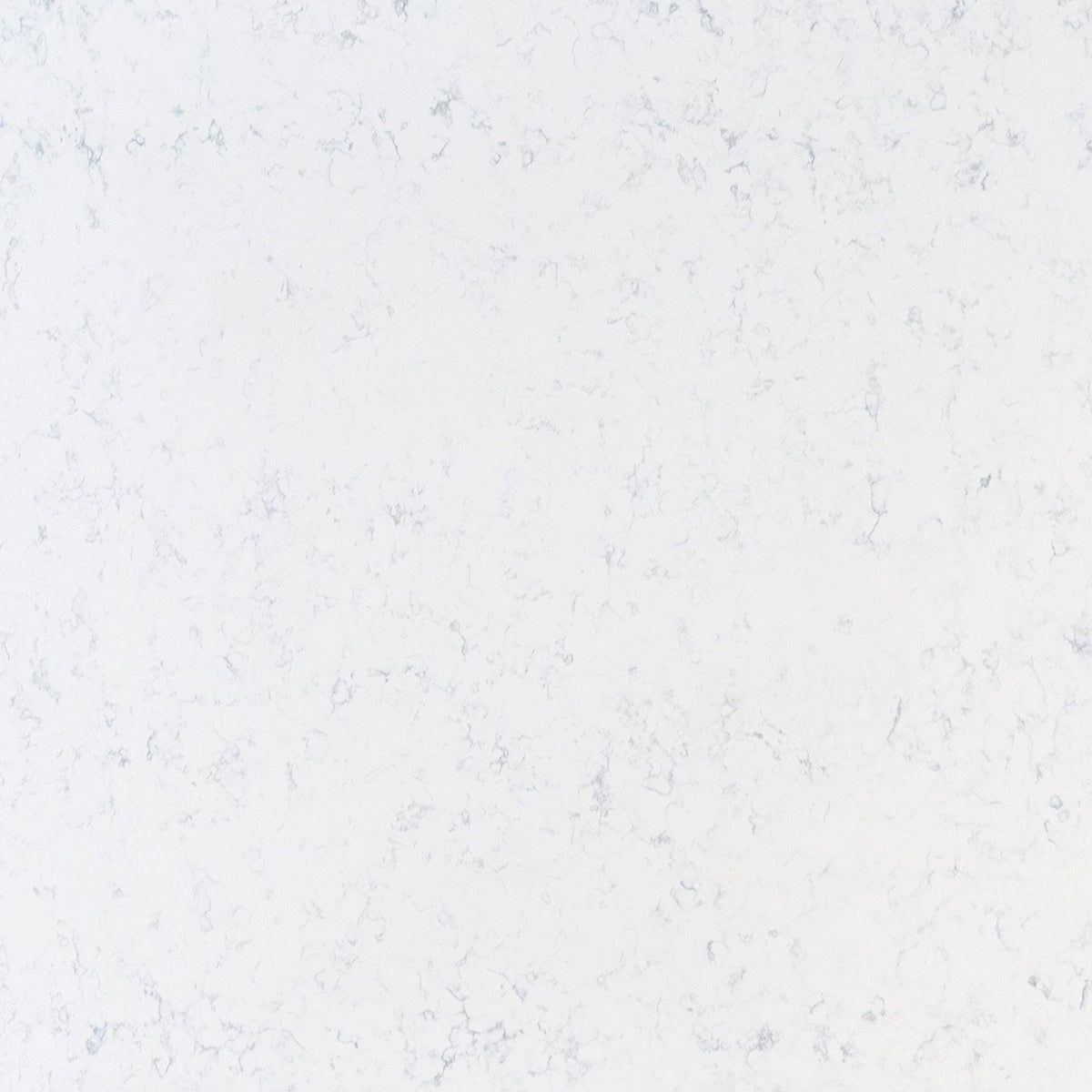 MSI Carrara Lumos Quartz Countertop Countertops - Shop at Home Craft Studio - 1