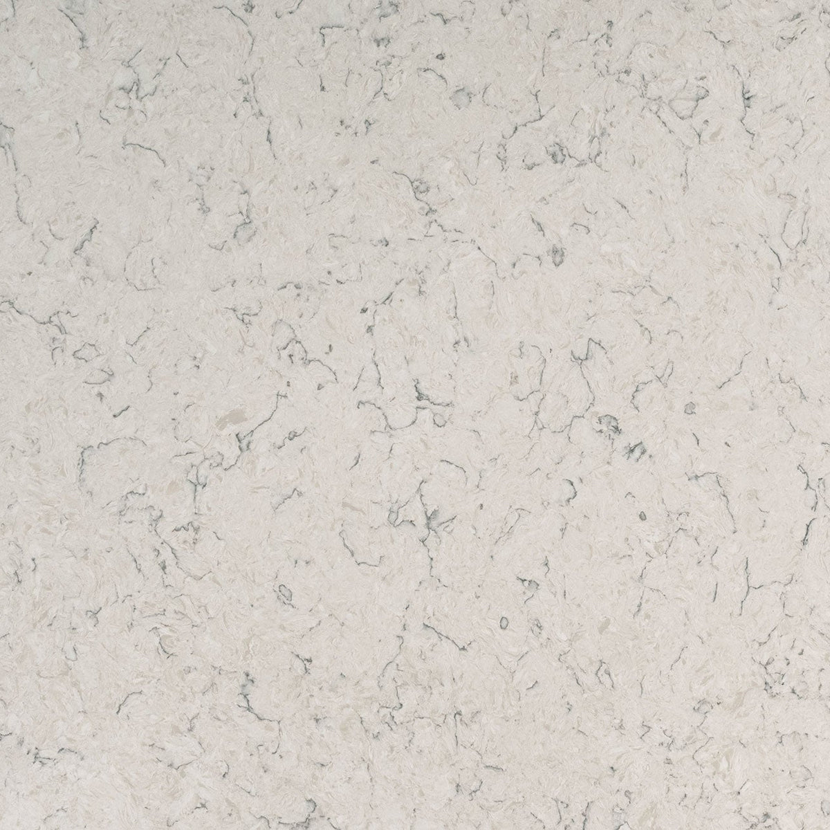 MSI Carrara Mist Quartz Countertop Countertops - Shop at Home Craft Studio - 1