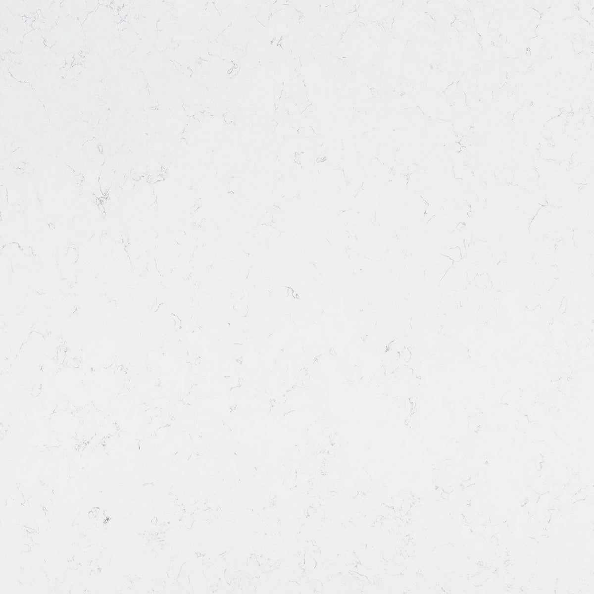 MSI Carrara Morro Quartz Countertop Countertops - Shop at Home Craft Studio - 1