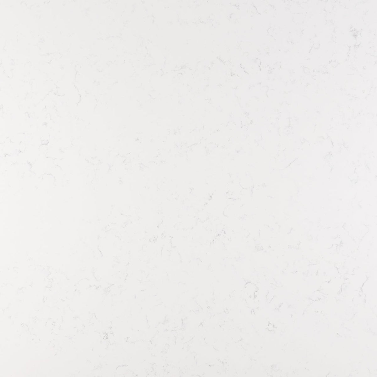 MSI Cashmere Carrara Quartz Countertop Countertops - Shop at Home Craft Studio - 1