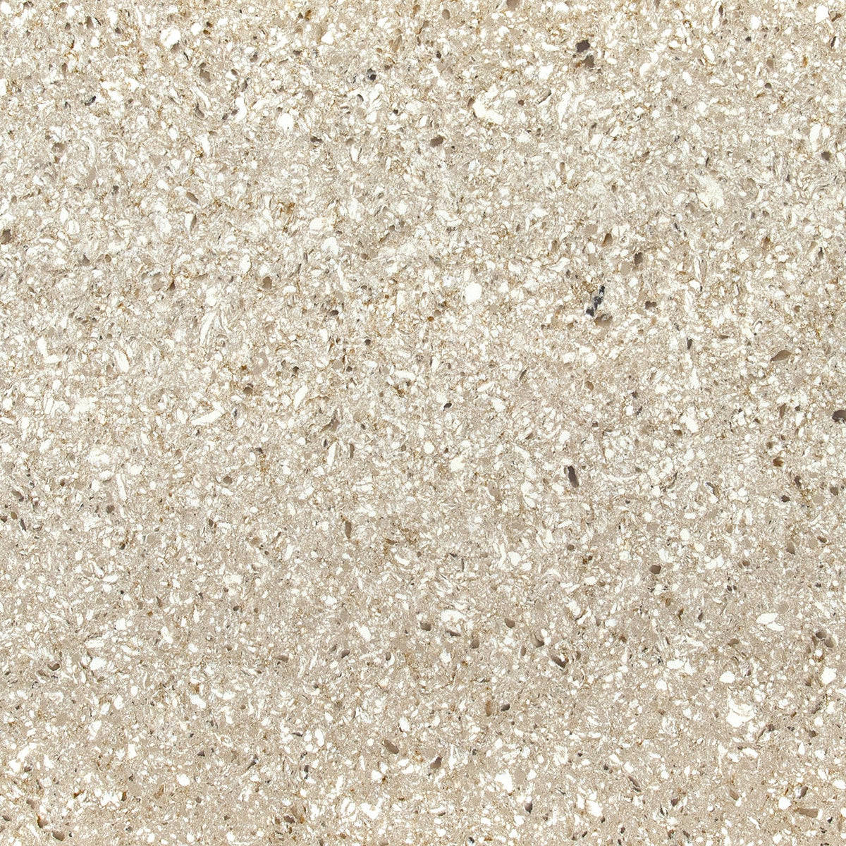 MSI Chakra Beige Quartz Countertop Countertops - Shop at Home Craft Studio - 1