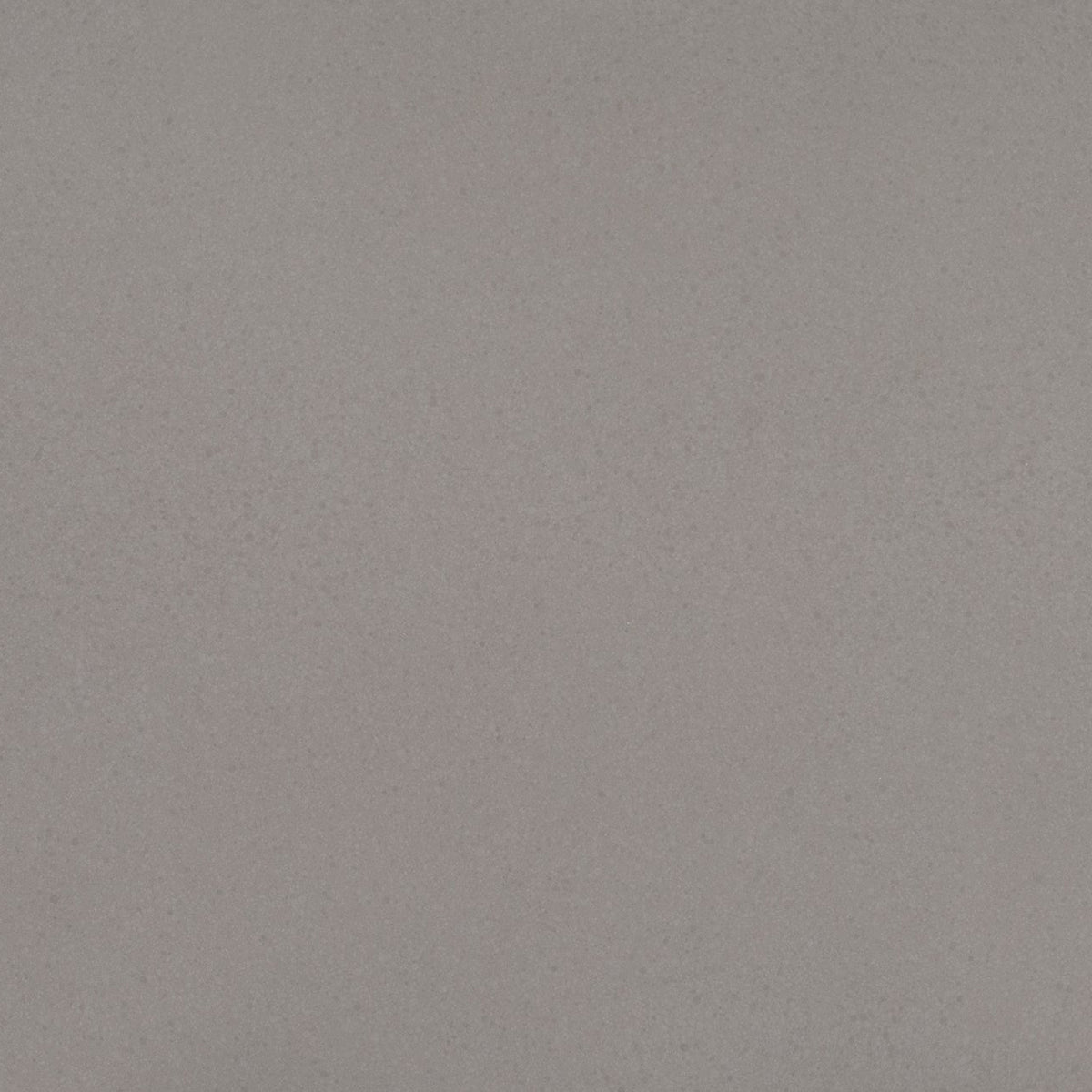 MSI Concerto Quartz Countertop Countertops - Shop at Home Craft Studio - 1
