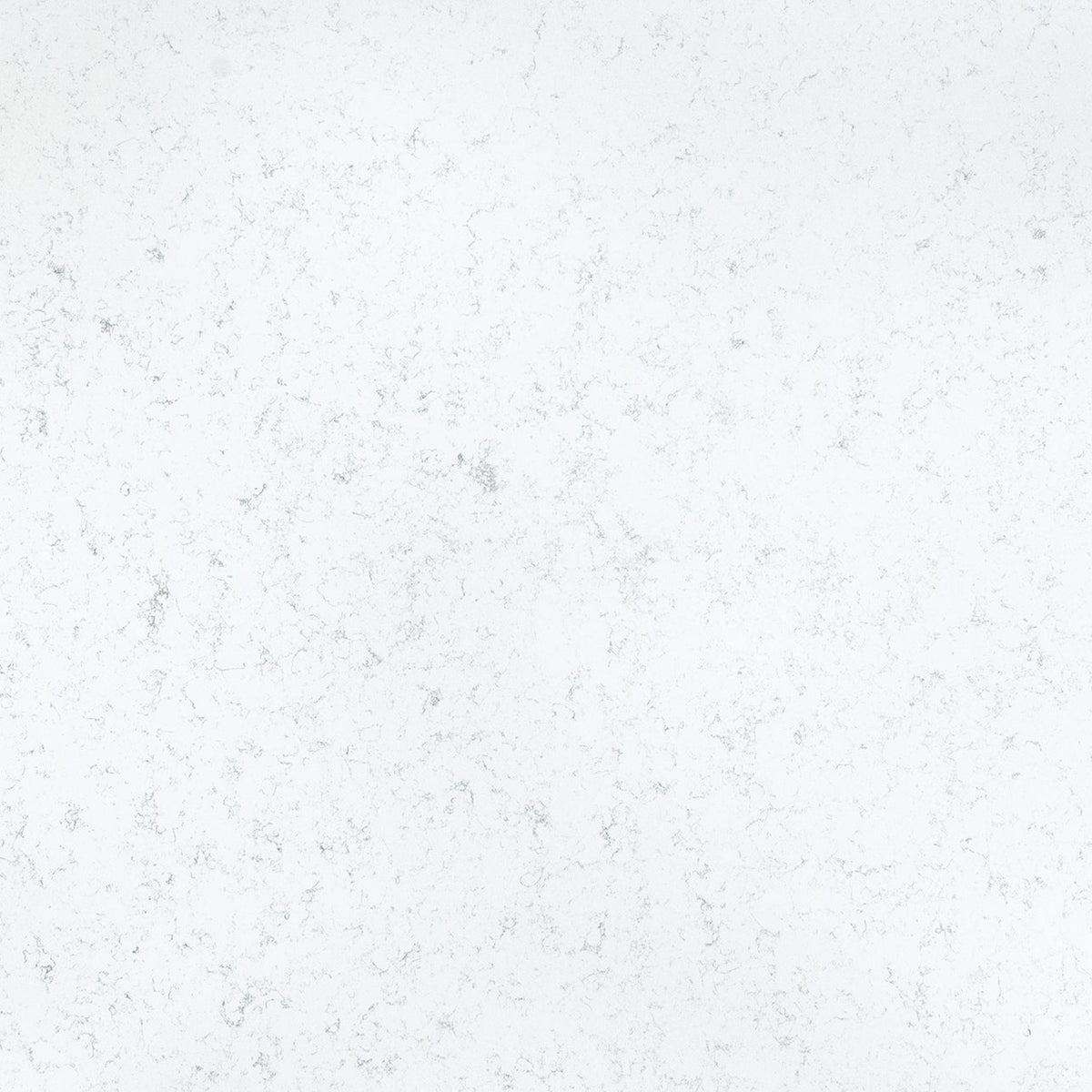 MSI Fairy White Quartz Countertop Countertops - Shop at Home Craft Studio - 1