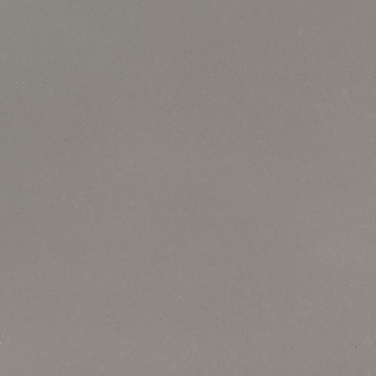MSI Fossil Gray Quartz Countertop Countertops - Shop at Home Craft Studio - 1