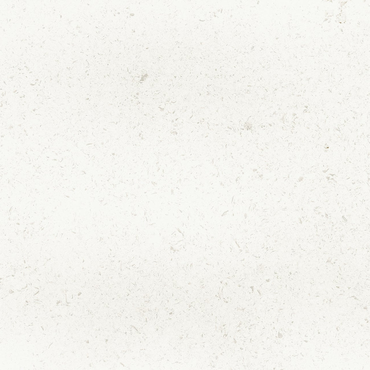 MSI Glacier White Quartz Countertop Countertops - Shop at Home Craft Studio - 1