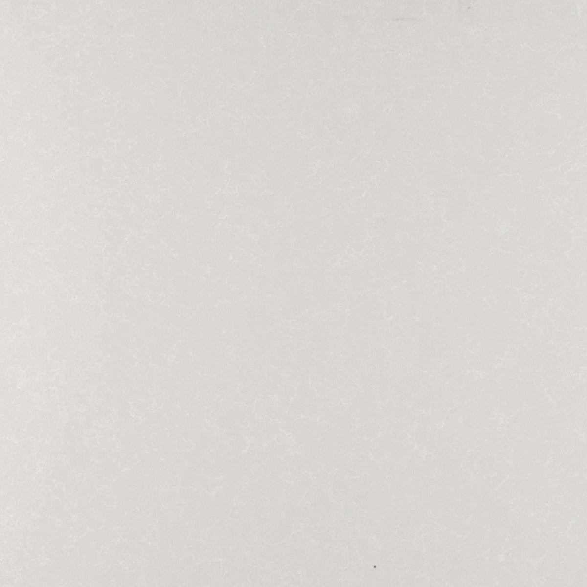 MSI Perla White Quartz Countertop Countertops - Shop at Home Craft Studio - 1