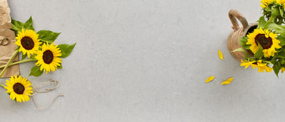 Vena Carbona Countertops - Shop at Home Craft Studio - 3