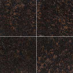 TAN BROWN 12X12 POLISHED Granite Tile - Shop at Home Craft Studio - 9