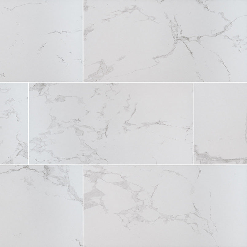 Praia Carrara 12X24 Matte