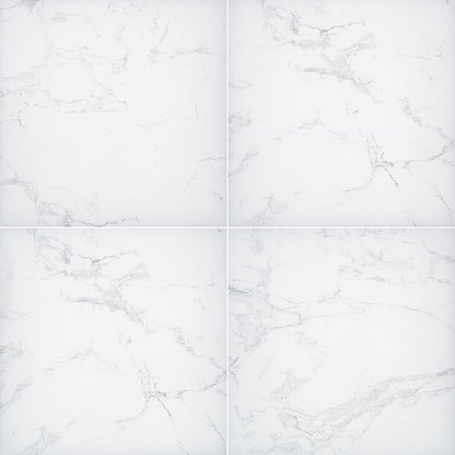 Praia Carrara 12X24 Matte