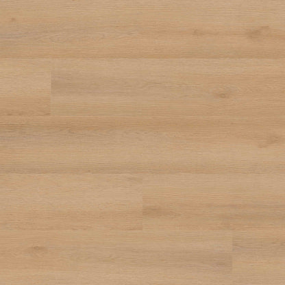 Studio - Quillian 8.98X48.03 - 9Mm-30Mil