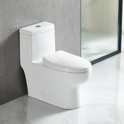 One Piece Toilet T9 01