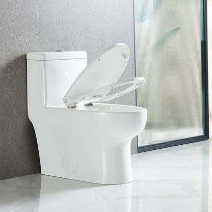 One Piece Toilet T9 01