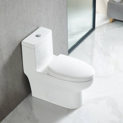 One Piece Toilet T9 01