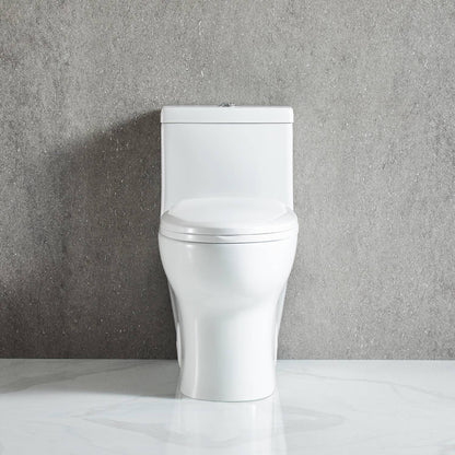One Piece Toilet T9 01