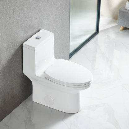 One Piece Toilet T9 04