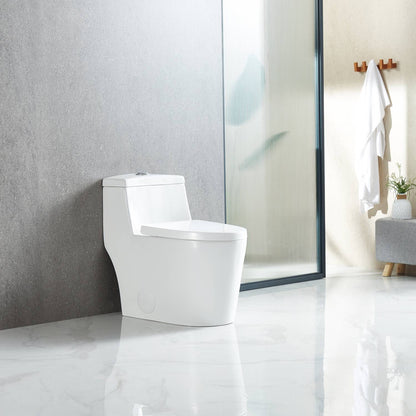 One Piece Toilet T9 05