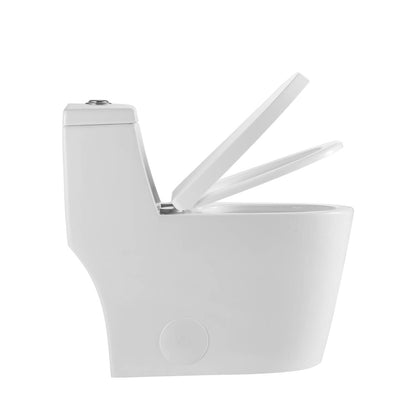 One Piece Toilet T9 05