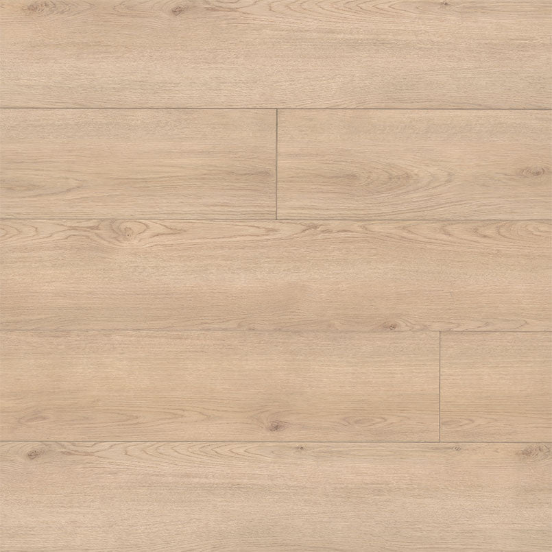 Xl Cyrus Chester Hills 8X60