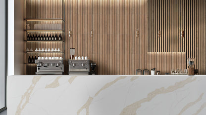 Natural Acoustic Wood Slat Panels