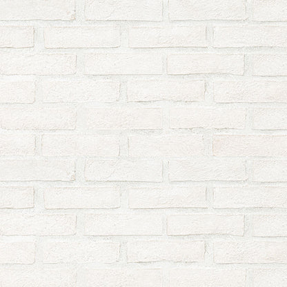 Alpine White Clay Brick 2.25x7.5
