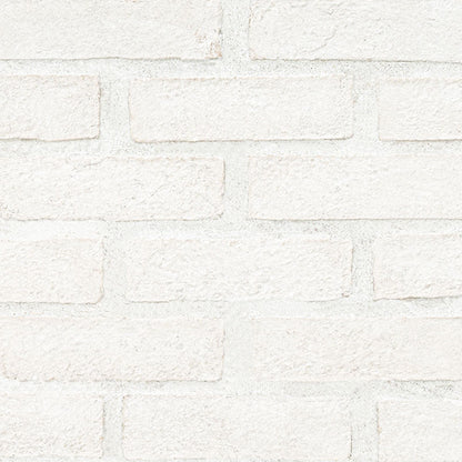 Alpine White Clay Brick 2.25x7.5