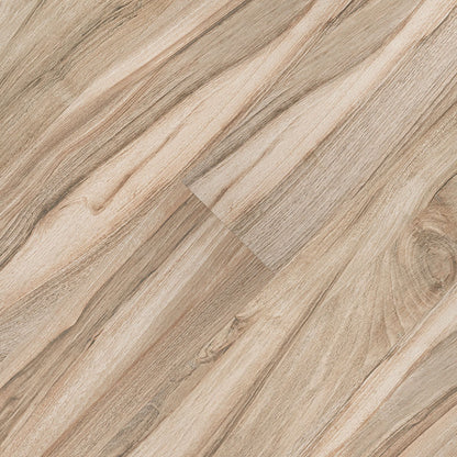 Aspenwood Amber