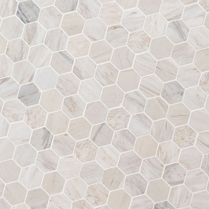 Angora Polished 2" Hexagon Mosaic Tile