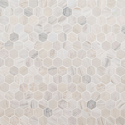 Angora Polished 2" Hexagon Mosaic Tile
