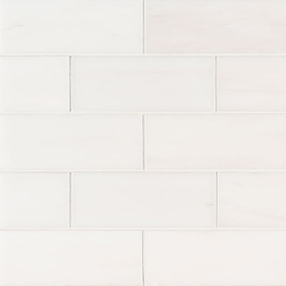 Bianco Dolomite Polished Subway Tile 3x6