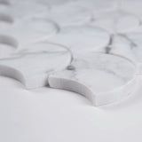 Calacatta Blanco Scallop Polished