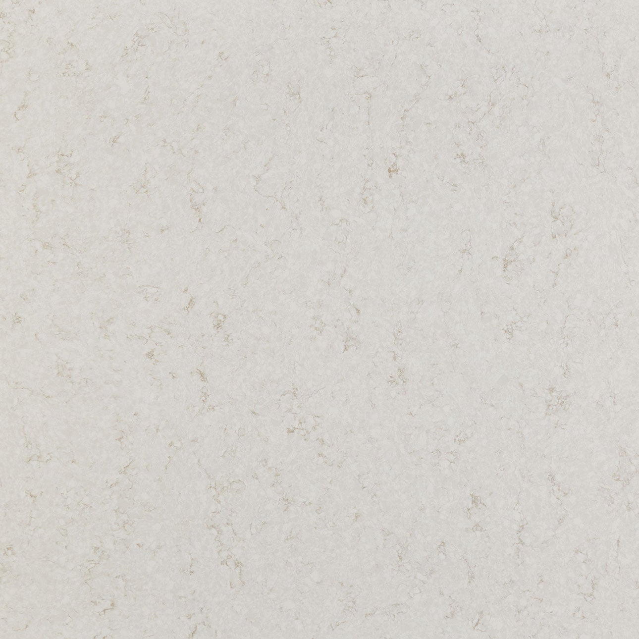Cashmere Taj