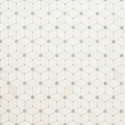 Cecily Grigio Polished