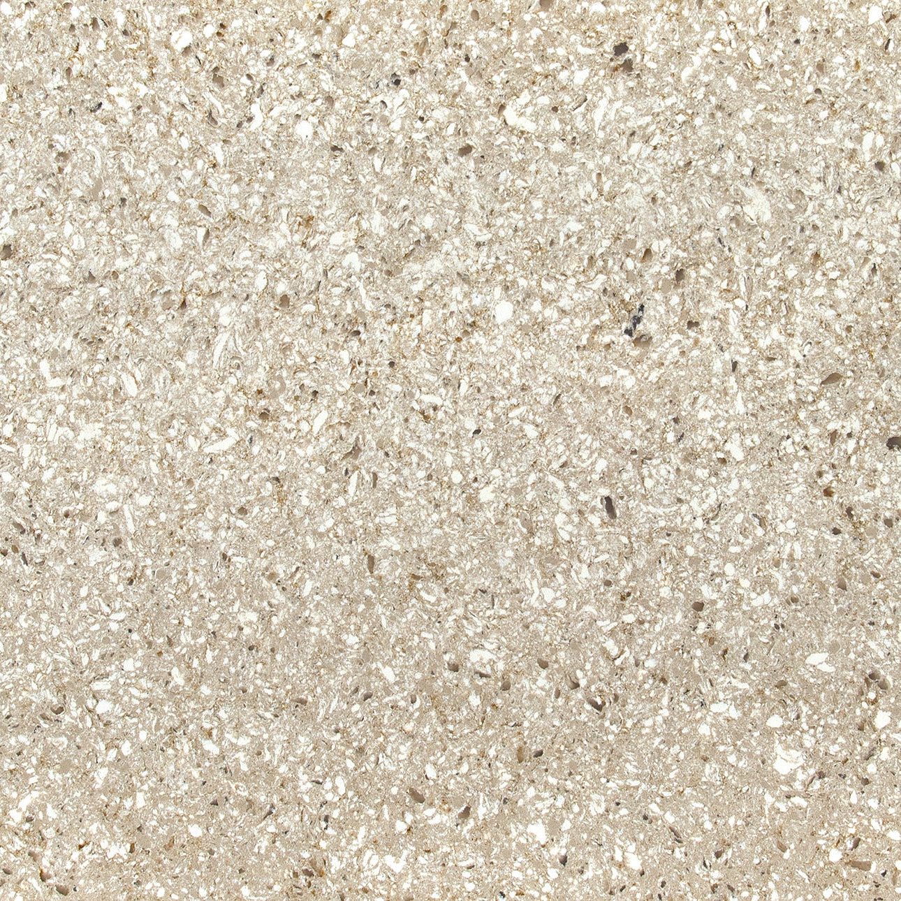 Chakra Beige