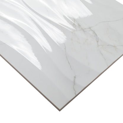 Dymo Calacatta Wavy White 12x24 Glossy