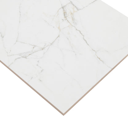 Dymo Calacatta White 12x24 Glossy