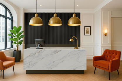 Ebony Acoustic Wood Slat Panels