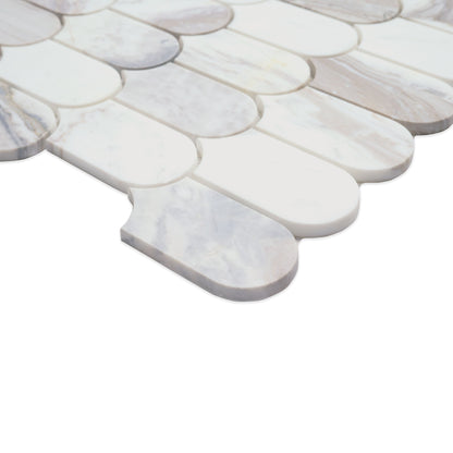 Edessa Scallop Polished