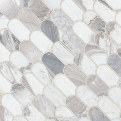 Edessa Scallop Polished