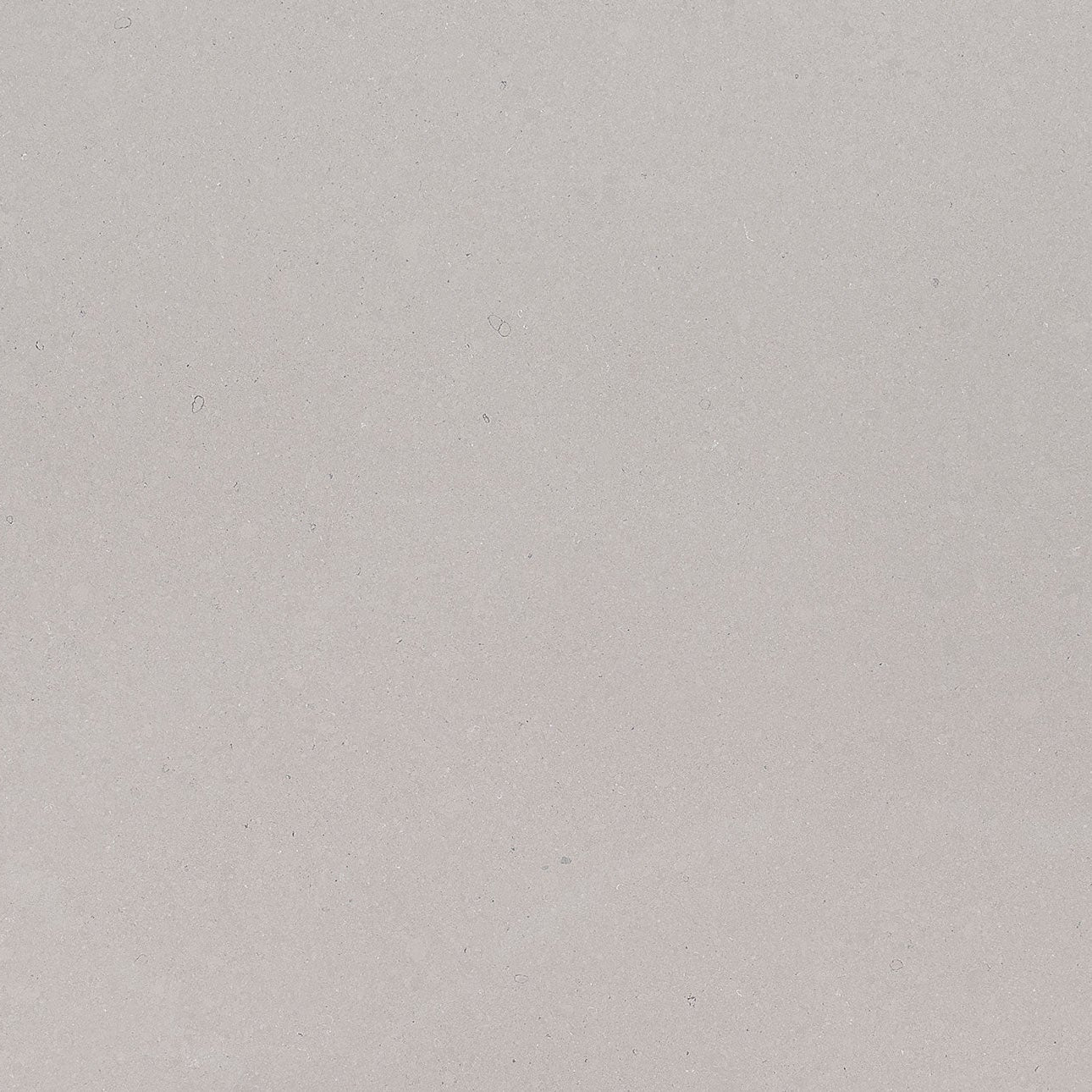Fossil Gray - Matte Finish