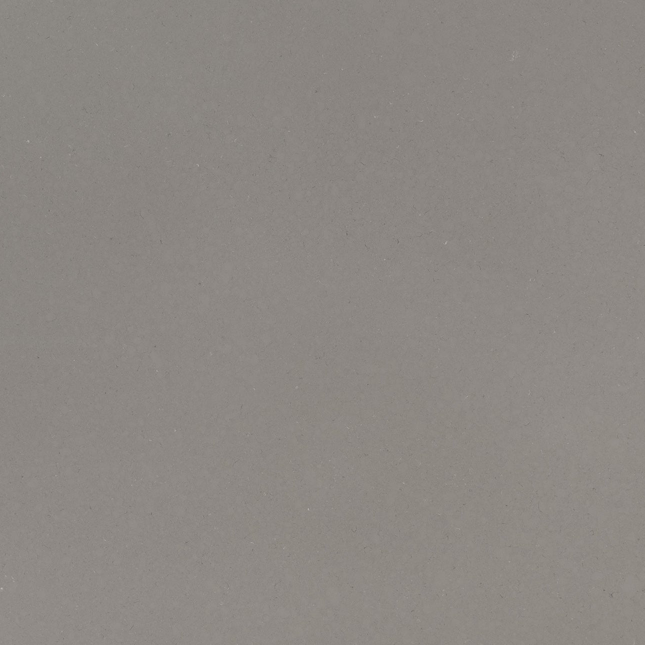 Fossil Gray
