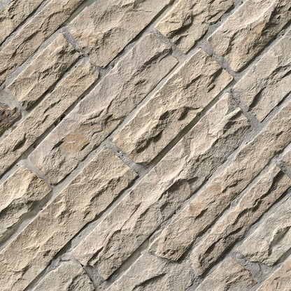Fossil Rustic Ledgestone