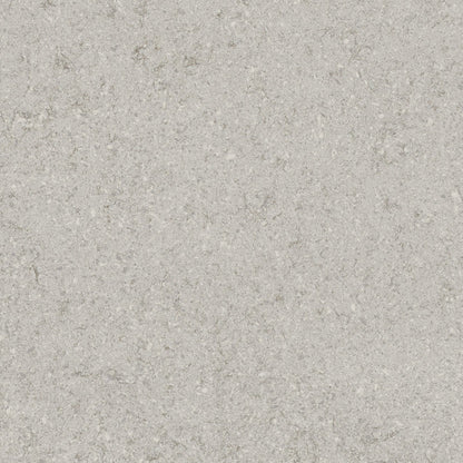 Gray Lagoon