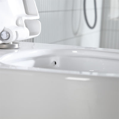 K-0335 One-Piece 28"h Dual Flush Toilet (12" Rough) Toilet - Shop at Home Craft Studio - 9