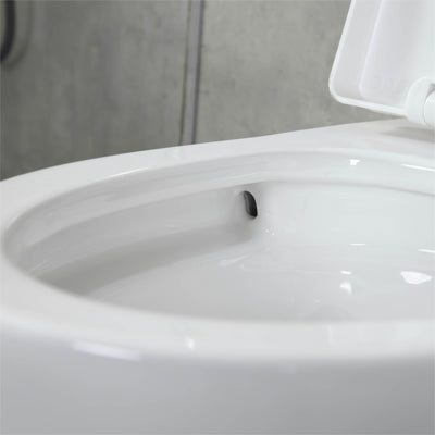K-0382  One-Piece 28" Dual Flush Toilet (12" Rough) Toilet - Shop at Home Craft Studio - 4