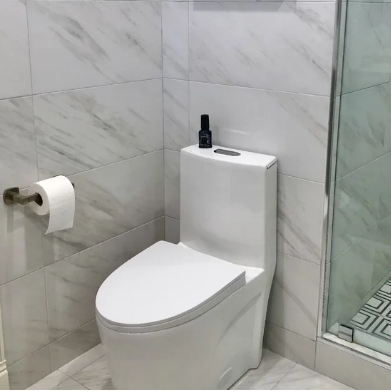 K-0382  One-Piece 28" Dual Flush Toilet (12" Rough) Toilet - Shop at Home Craft Studio - 7