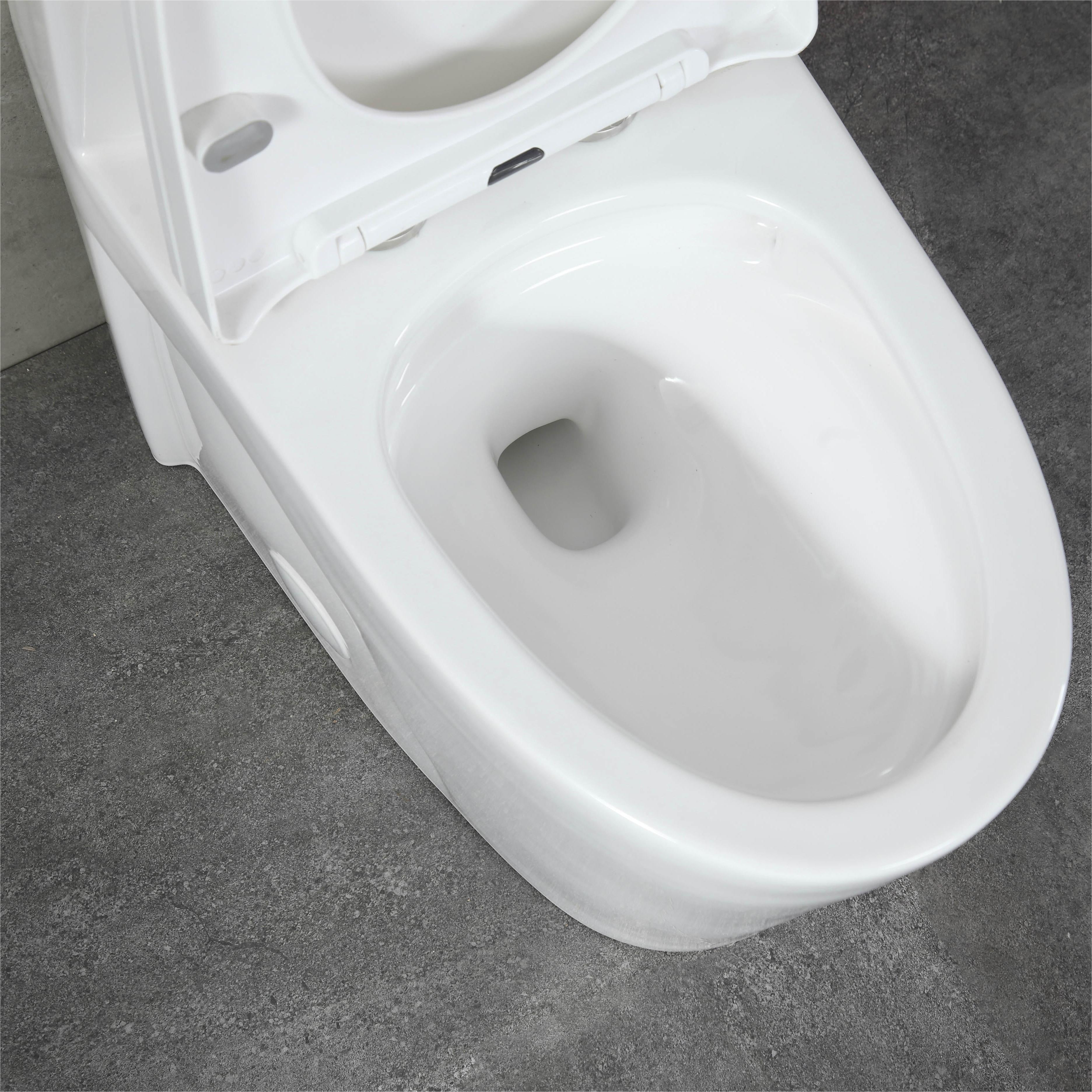 K-0382  One-Piece 28" Dual Flush Toilet (12" Rough) Toilet - Shop at Home Craft Studio - 27