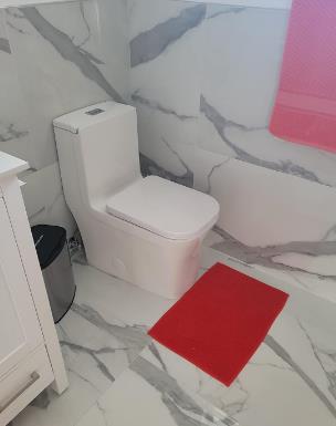 (T2706)/K-0329 One-Piece 27"h Dual Flush Toilet (12" Rough) Toilet - Shop at Home Craft Studio - 8