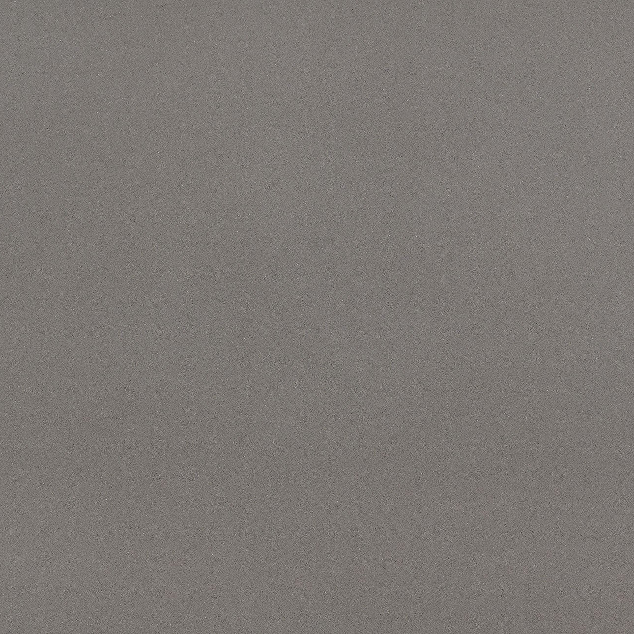 Macabo Gray