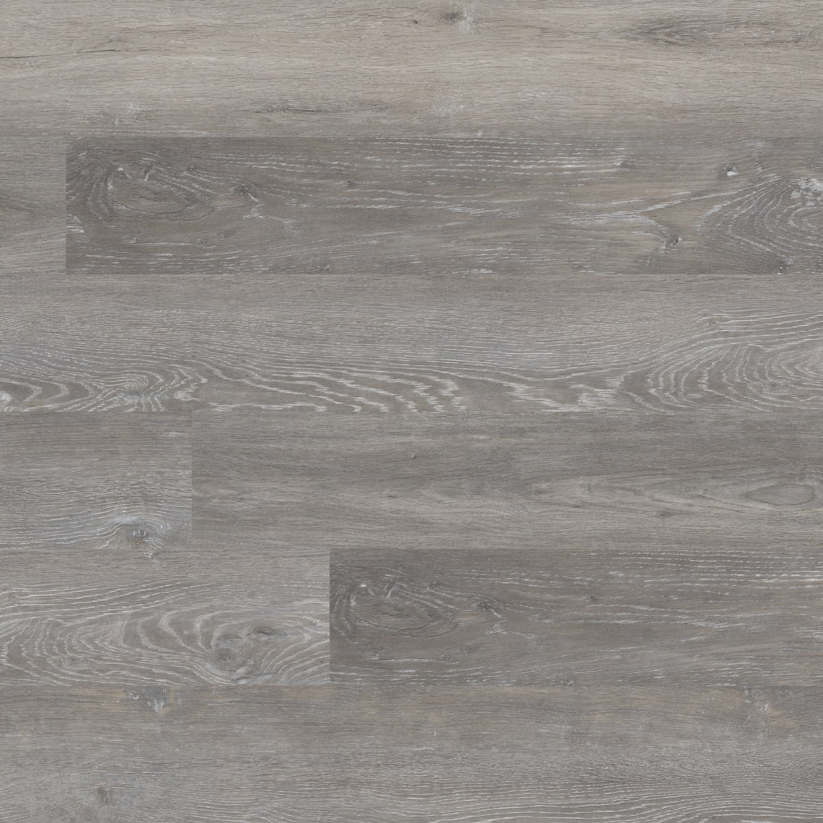 Katavia Elmwood Ash 6X48